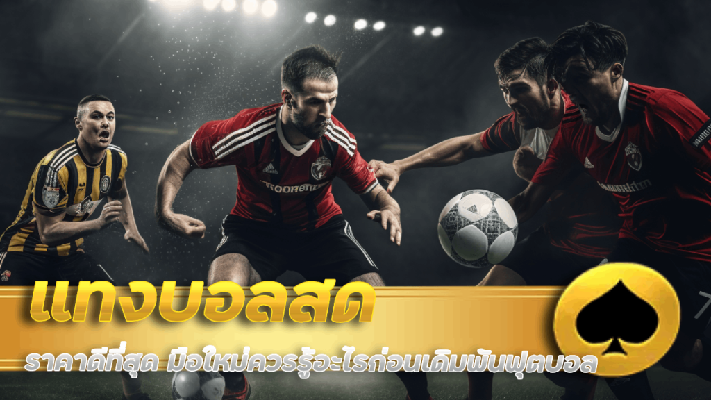 แทงบอลสด SNOWY ราคาดีที่สุด