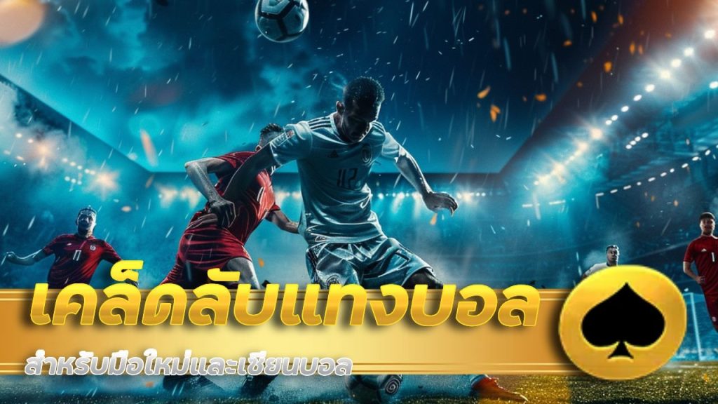 เคล็ดลับแทงบอล cosmo365